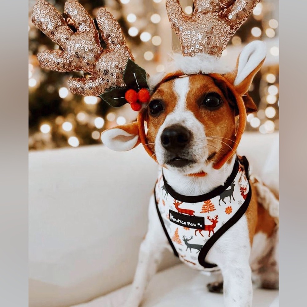 Brand New Christmas Dog Harness - Deer Santa